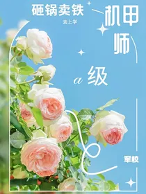 砸锅卖铁去上学：A级机甲师