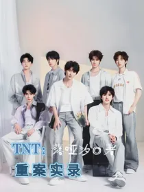TNT重案实录