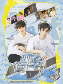 文轩：雨枝迢迢望