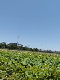 玖月暖