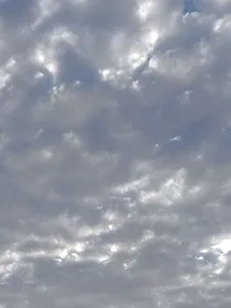 师兄的秘密
