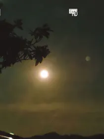 朝月拾