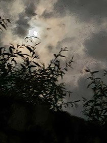 麟浩：执手卧听雨