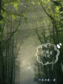 追盛夏的风