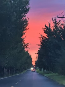 不定时梦境
