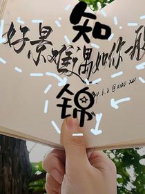 知遇锦