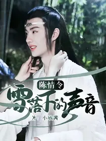 陈情令：雪落下的声音
