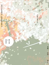 夏天的夜晚很美好