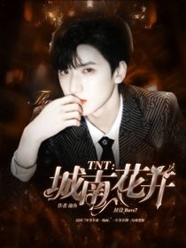 TNT：城南花开
