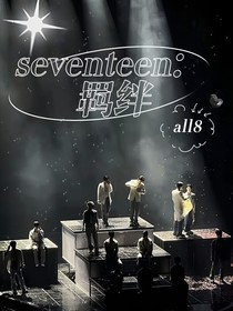 seventeen：羁绊