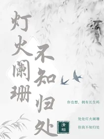 灯火阑珊不知归处