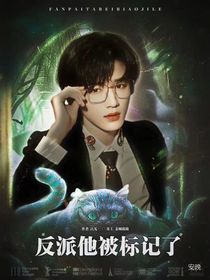 TNT：我与书中的反派HE