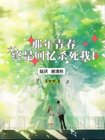 那年青春—终究是回忆杀死我1