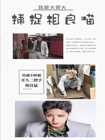 我是大哥大：不良攻略日记