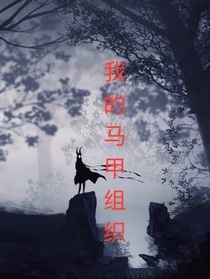 我的马甲组织
