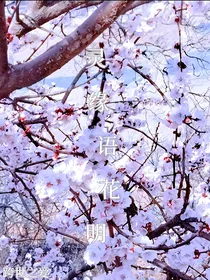 灵缘语花明