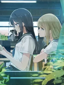 夏末的那朵绽放的百合