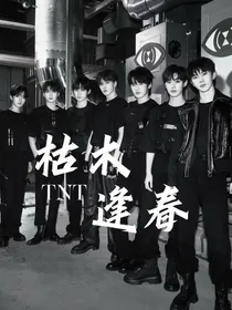 TNT——枯木逢春