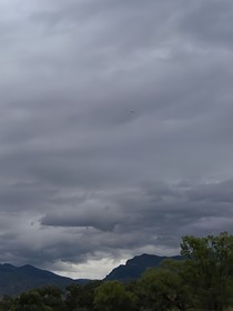 一次相遇，一生爱意