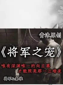 将军之宠之罪与罚