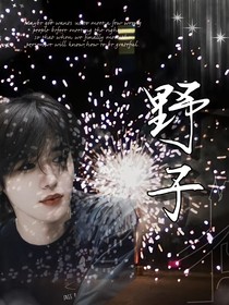 野子tnt群像