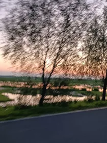 好看的风景