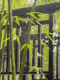 时光的士——回到过去