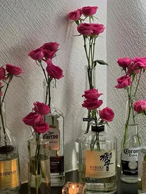 人间六月花满天