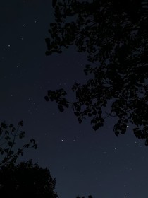 小顾