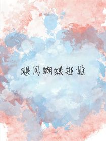 飓风蝴蝶逃婚