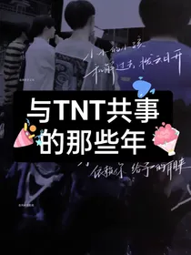 和TNT共事的那些年