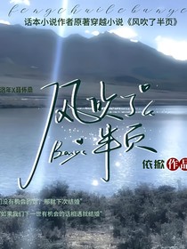 风吹了半页