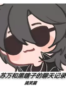 苏万和黑瞎子的聊天记录
