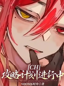 CH：攻略计划进行中……