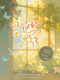 昙花的影子