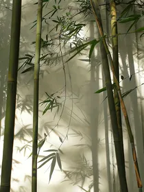 小师妹的生存指南