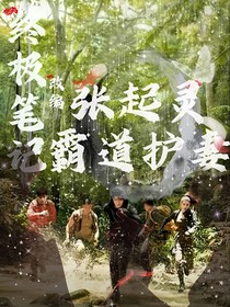 终极笔记改编之张起灵霸气护妻