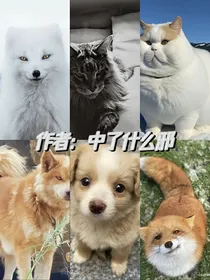 老张头和他的萌宠们！