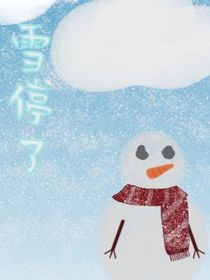 雪停了