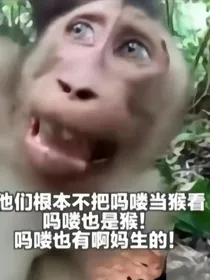 牛马重生，带爸飞