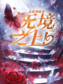 无境之上！