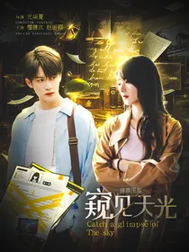 猎罪图鉴：窥见天光