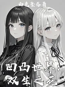 凹凸世界：双生之花