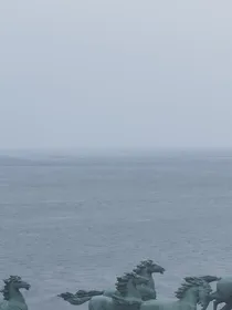 综影视，改变悲惨女配