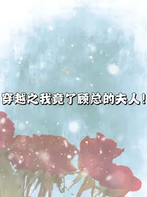 穿越之我竟成了顾总的夫人！