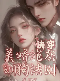 快穿美娇炮灰训狗法则