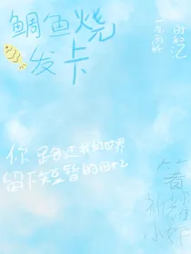 鲷鱼烧发卡