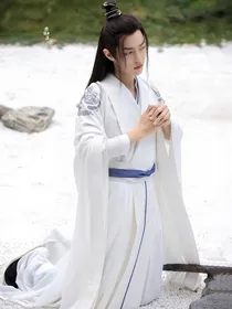 当魏无羡被金凌刺了一剑后