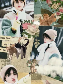 轩源：白玫瑰