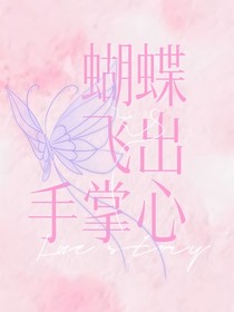 TF三代：蝴蝶飞出手掌心